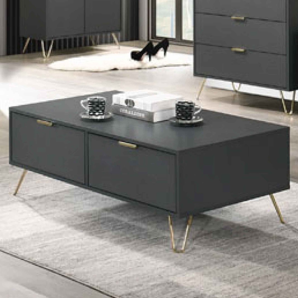 MESITA DE CENTRO ARDEN-CT 4011# JS-MB-DARK GREY# 110X60X40CM