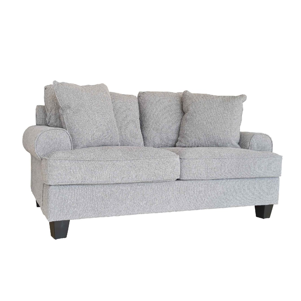 SOFA TELA LW-0278-2# 2 PUESTO C/ 2COJIN