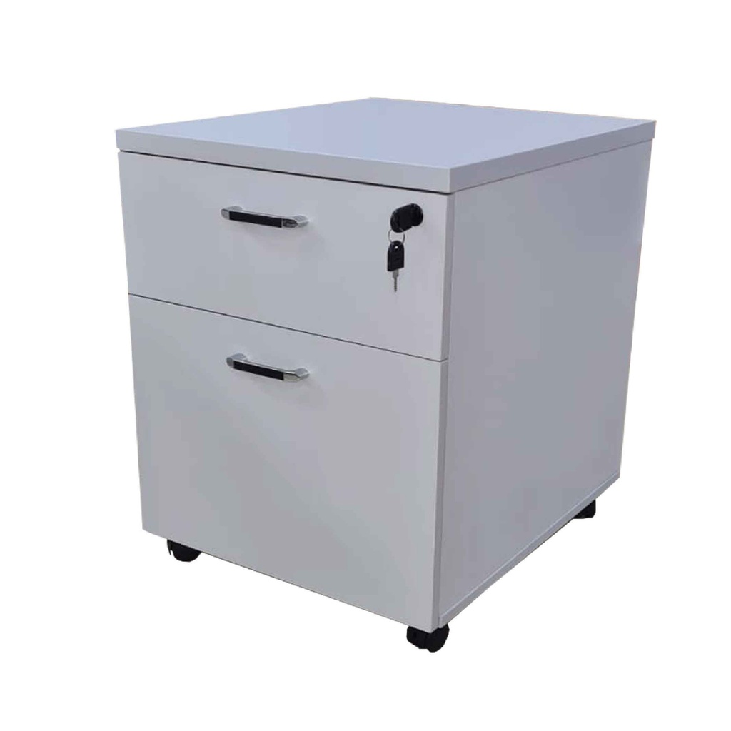 ARCHIVADOR B-015# 2/GV 48X57X60CM GRIS