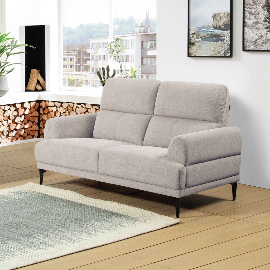SOFA TELA LY6636# 2 PUESTOS