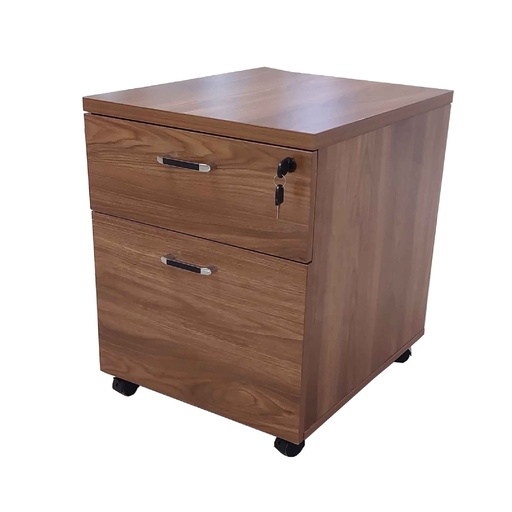ARCHIVADOR B-015# 2/GV COLOR 1004# 48X57X60CM MADERA