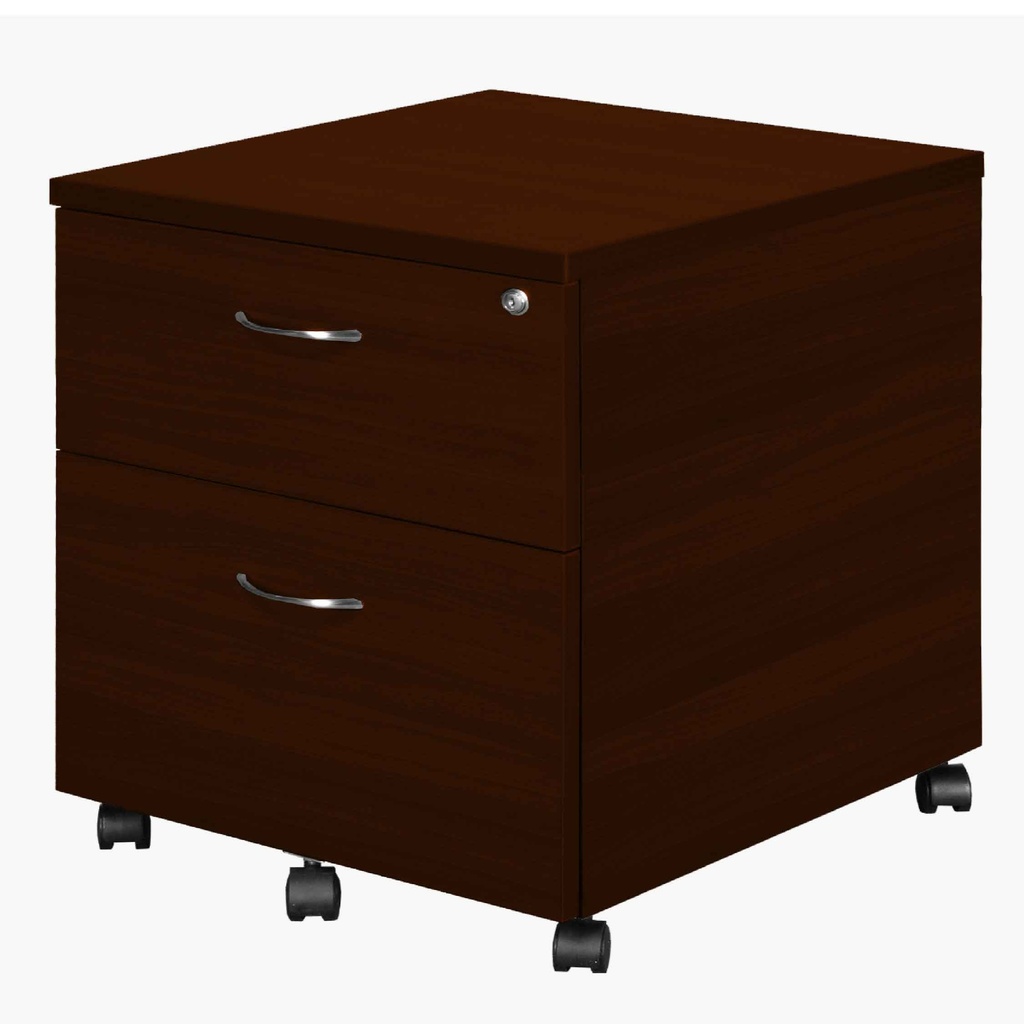 ARCHIVADOR YS-8# WALNUT 2/G CHOCO OSC 48X57X60CM