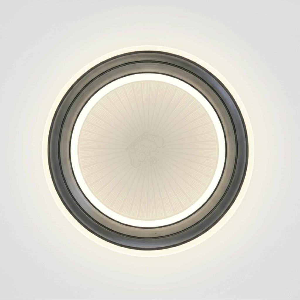 LAMPARA DE TECHO 306-300-1# WHITE REDONDA 300MM WHITE LED