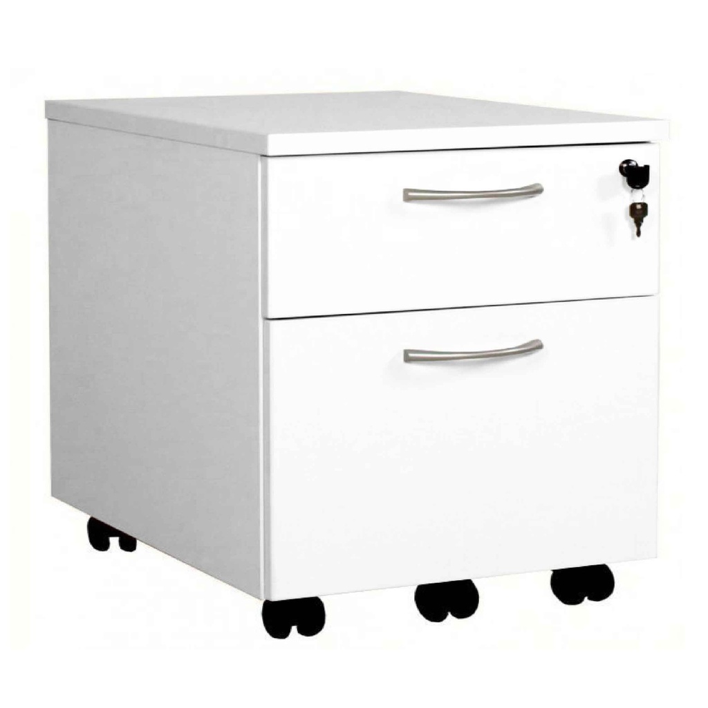 ARCHIVADOR 8# 2/G 48X57X60CM