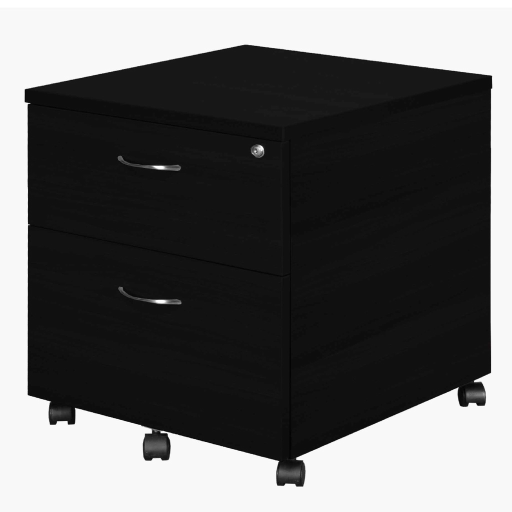 ARCHIVADOR YS-8# ES16# NEGRO 2GV 48X57X60CM